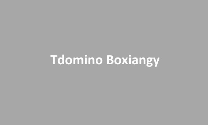 Kekurangan-Tdomino-Boxiangyx
